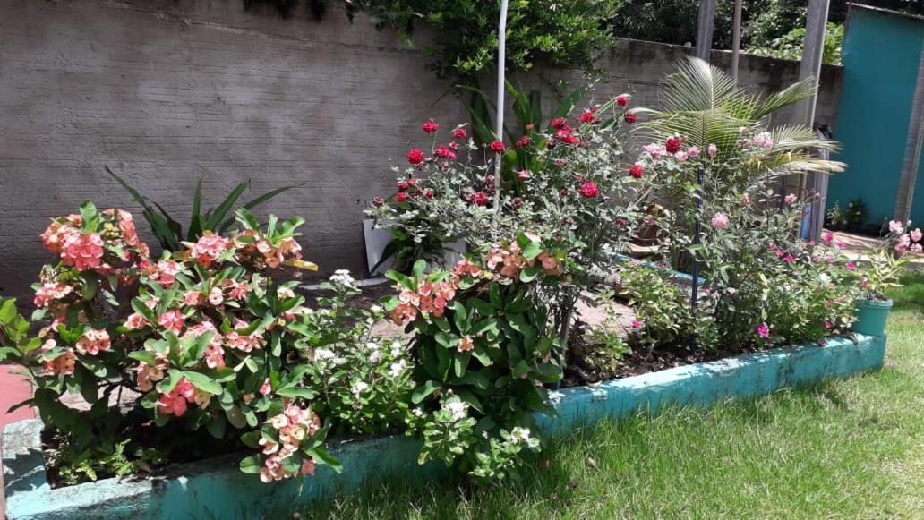 Pousada Tropicaliente Alter do Chao Exterior foto